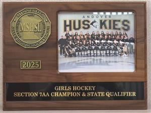 Girls Hockey Section 7AA Champion and State Qualifier
